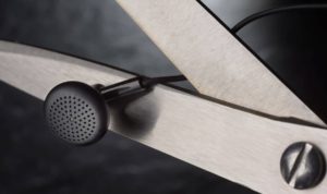 Earphones or earbuds