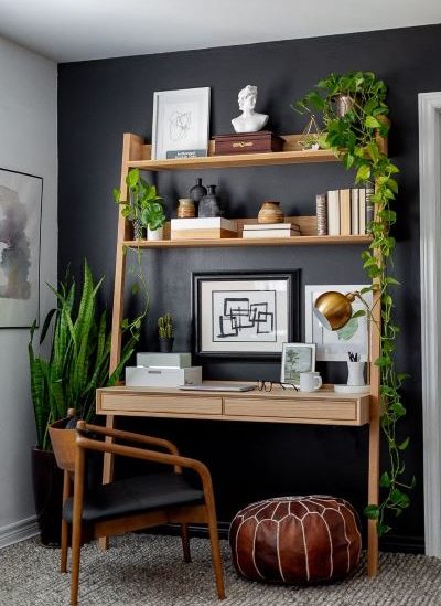 Plants for small office ideas